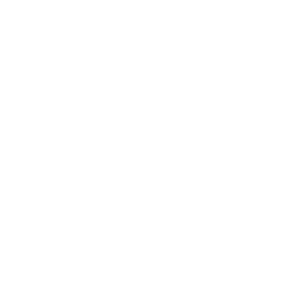 rudietaPOS